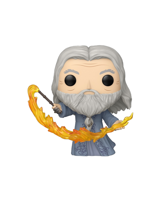 Funko Pop! 212 Albus Dumbledore | Special edition (Pre-Order)