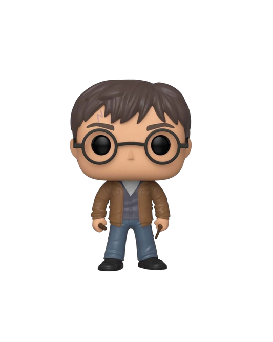 Funko Pop! 118 Harry Potter | Special Edition